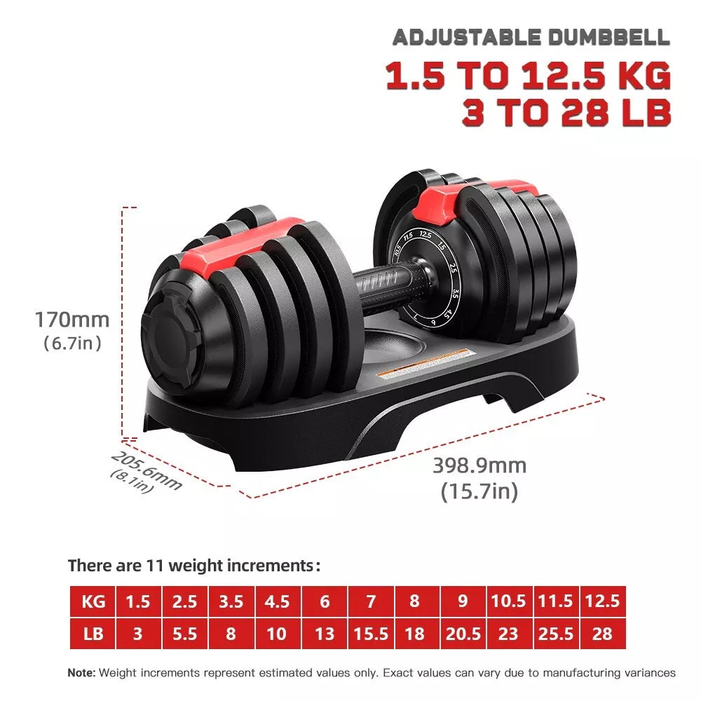 BRAINGAIN Beginner Gym Bundle